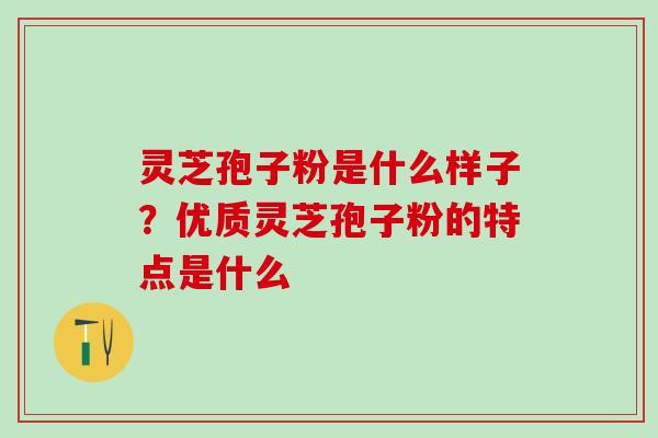 灵芝孢子粉是什么样子？优质灵芝孢子粉的特点是什么