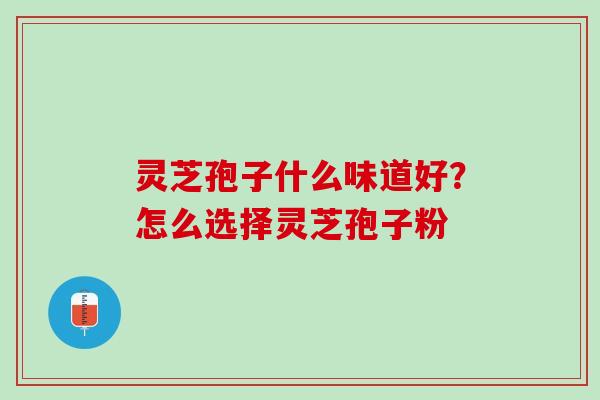 灵芝孢子什么味道好？怎么选择灵芝孢子粉