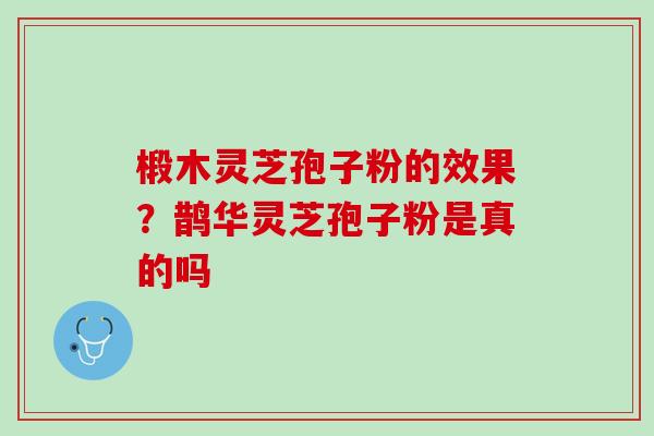 椴木灵芝孢子粉的效果？鹊华灵芝孢子粉是真的吗