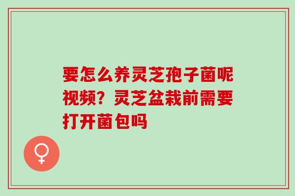 要怎么养灵芝孢子菌呢视频？灵芝盆栽前需要打开菌包吗