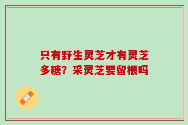 只有野生灵芝才有灵芝多糖？采灵芝要留根吗