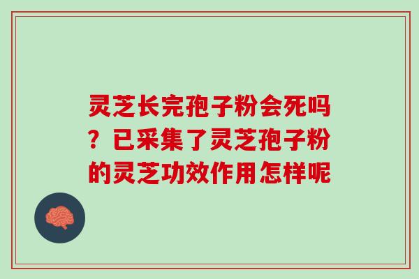 灵芝长完孢子粉会死吗？已采集了灵芝孢子粉的灵芝功效作用怎样呢