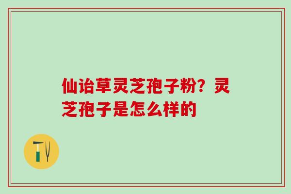 仙诒草灵芝孢子粉？灵芝孢子是怎么样的