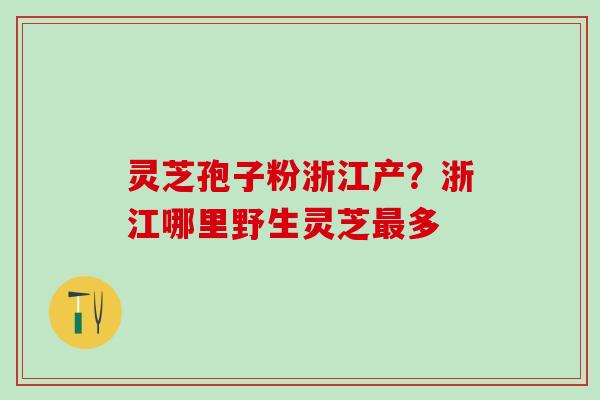 灵芝孢子粉浙江产?浙江哪里野生灵芝多 灵芝孢子粉浙江产?浙江哪里野生灵芝多