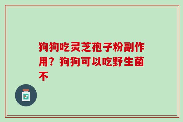 狗狗吃灵芝孢子粉副作用?狗狗可以吃野生菌不 狗狗吃灵芝孢子粉副作用?狗狗可以吃野生菌不