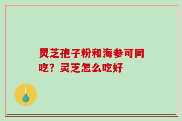灵芝孢子粉和海参可同吃？灵芝怎么吃好