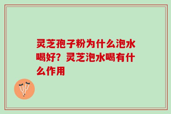 灵芝孢子粉为什么泡水喝好？灵芝泡水喝有什么作用