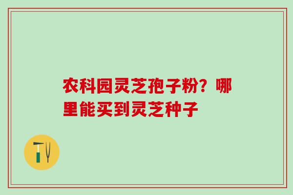 农科园灵芝孢子粉？哪里能买到灵芝种子