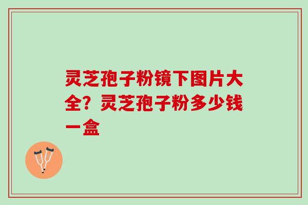 灵芝孢子粉镜下图片大全？灵芝孢子粉多少钱一盒