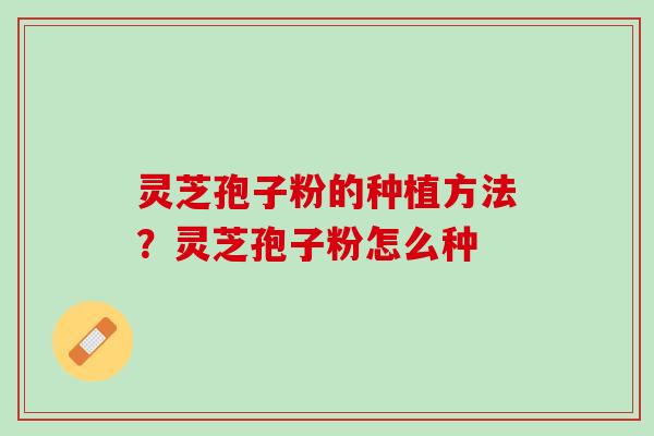 灵芝孢子粉的种植方法？灵芝孢子粉怎么种