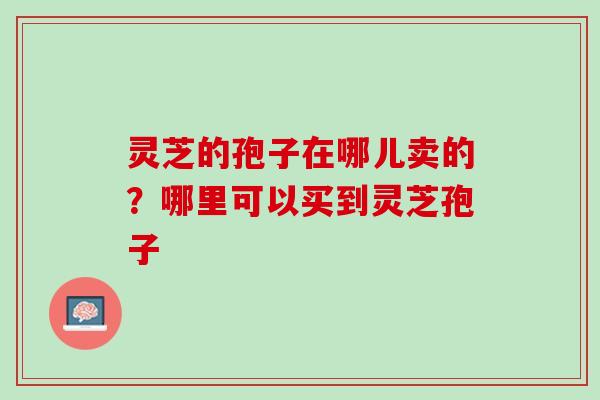 灵芝的孢子在哪儿卖的？哪里可以买到灵芝孢子