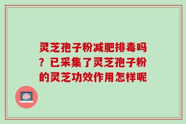 灵芝孢子粉吗?已采集了灵芝孢子粉的灵芝功效作用怎样呢 灵芝孢子粉吗?已采集了灵芝孢子粉的灵芝功效作用怎样呢