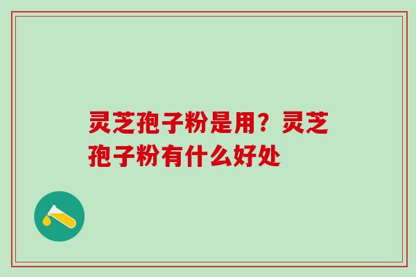 灵芝孢子粉是用?灵芝孢子粉有什么好处 灵芝孢子粉是用?灵芝孢子粉有什么好处