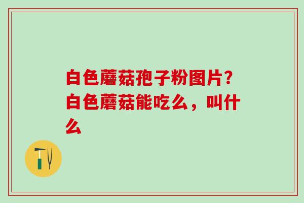 白色蘑菇孢子粉图片？白色蘑菇能吃么，叫什么