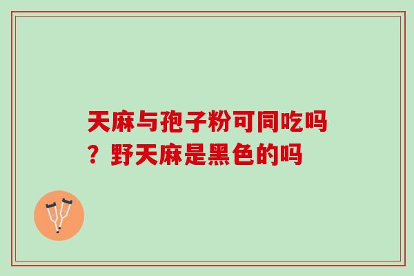 天麻与孢子粉可同吃吗？野天麻是黑色的吗