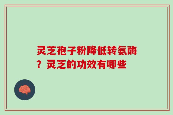 灵芝孢子粉降低转氨酶？灵芝的功效有哪些