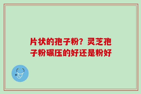 片状的孢子粉？灵芝孢子粉碾压的好还是粉好