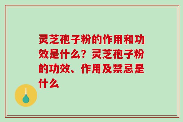 灵芝孢子粉的作用和功效是什么？灵芝孢子粉的功效、作用及禁忌是什么