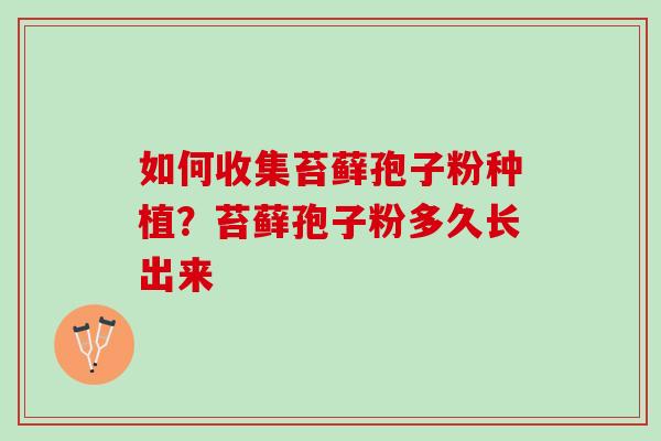 如何收集苔藓孢子粉种植？苔藓孢子粉多久长出来