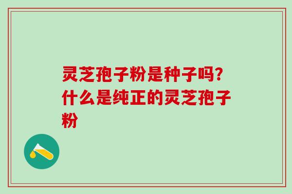 灵芝孢子粉是种子吗？什么是纯正的灵芝孢子粉
