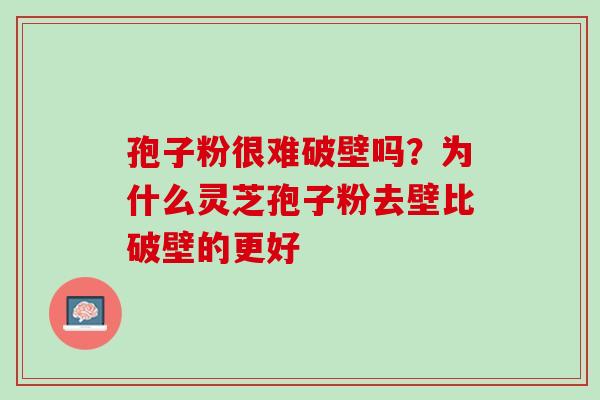 孢子粉很难破壁吗？为什么灵芝孢子粉去壁比破壁的更好