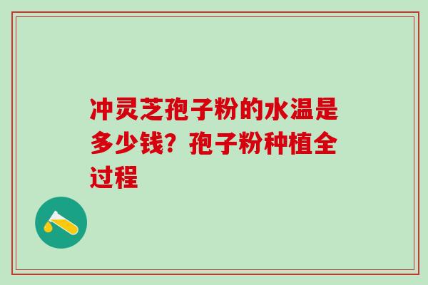 冲灵芝孢子粉的水温是多少钱？孢子粉种植全过程