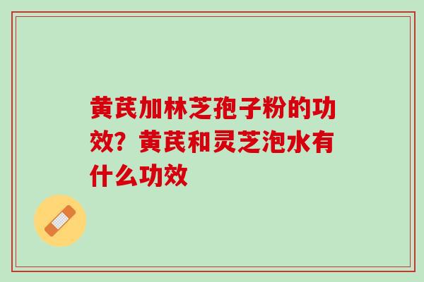 黄芪加林芝孢子粉的功效？黄芪和灵芝泡水有什么功效