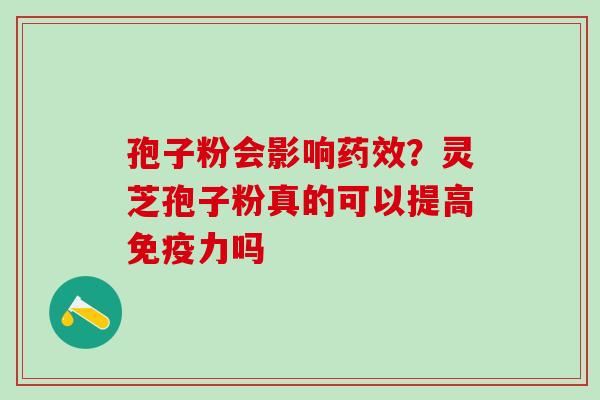 孢子粉会影响药效？灵芝孢子粉真的可以提高免疫力吗