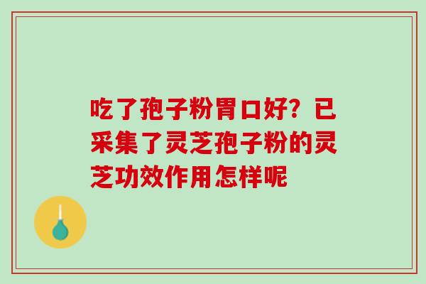 吃了孢子粉胃口好？已采集了灵芝孢子粉的灵芝功效作用怎样呢