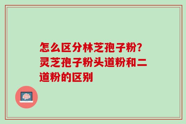 怎么区分林芝孢子粉？灵芝孢子粉头道粉和二道粉的区别