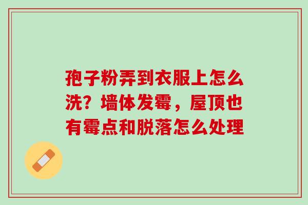 孢子粉弄到衣服上怎么洗?墙体发霉,屋顶也有霉点和脱落怎么处理 孢子粉弄到衣服上怎么洗?墙体发霉,屋顶也有霉点和脱落怎么处理