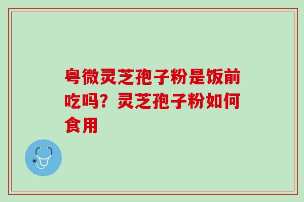粤微灵芝孢子粉是饭前吃吗？灵芝孢子粉如何食用