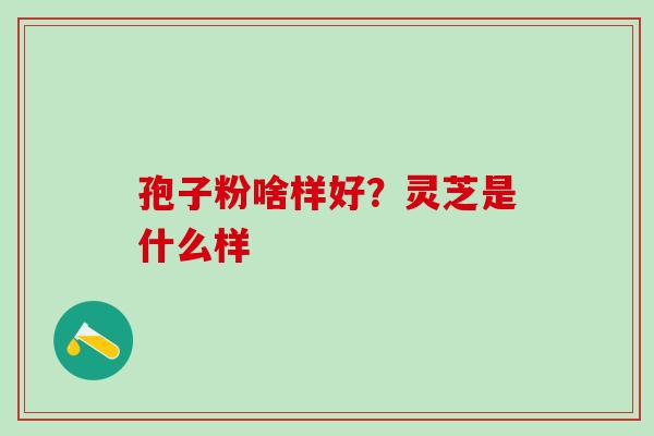 孢子粉啥样好？灵芝是什么样