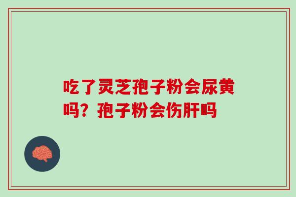 吃了灵芝孢子粉会尿黄吗?孢子粉会伤吗 吃了灵芝孢子粉会尿黄吗?孢子粉会伤吗