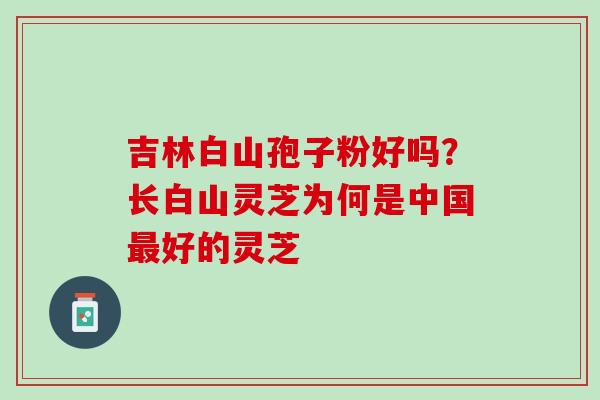 吉林白山孢子粉好吗?长白山灵芝为何是中国好的灵芝 吉林白山孢子粉好吗?长白山灵芝为何是中国好的灵芝