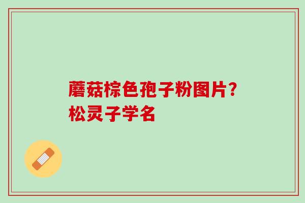 蘑菇棕色孢子粉图片?松灵子学名 蘑菇棕色孢子粉图片?松灵子学名