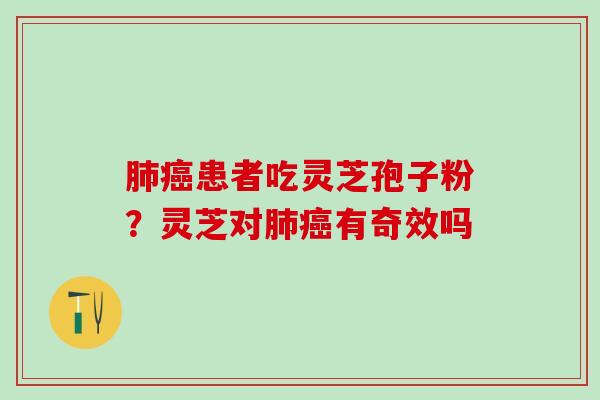 患者吃灵芝孢子粉?灵芝对有奇效吗 患者吃灵芝孢子粉?灵芝对有奇效吗