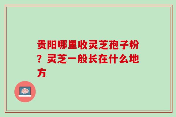 贵阳哪里收灵芝孢子粉？灵芝一般长在什么地方