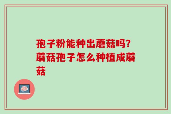 孢子粉能种出蘑菇吗？蘑菇孢子怎么种植成蘑菇