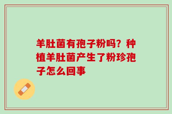 羊肚菌有孢子粉吗？种植羊肚菌产生了粉珍孢子怎么回事
