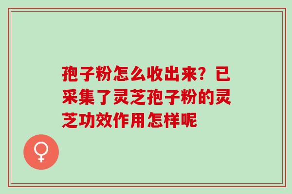 孢子粉怎么收出来?已采集了灵芝孢子粉的灵芝功效作用怎样呢 孢子粉怎么收出来?已采集了灵芝孢子粉的灵芝功效作用怎样呢