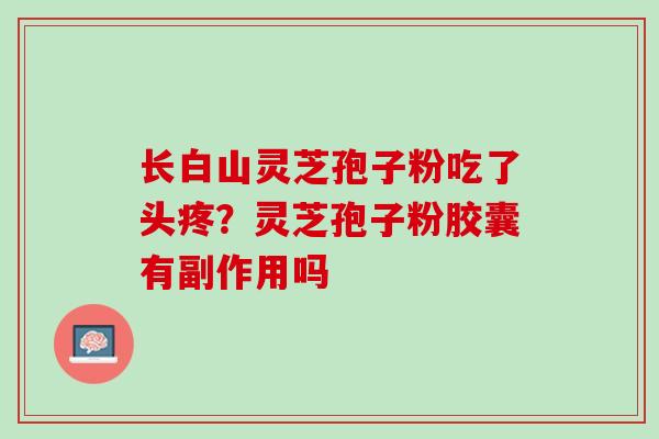 长白山灵芝孢子粉吃了头疼？灵芝孢子粉胶囊有副作用吗