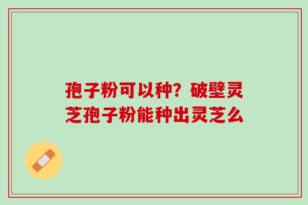 孢子粉可以种?破壁灵芝孢子粉能种出灵芝么 孢子粉可以种?破壁灵芝孢子粉能种出灵芝么