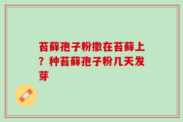 苔藓孢子粉撒在苔藓上？种苔藓孢子粉几天发芽