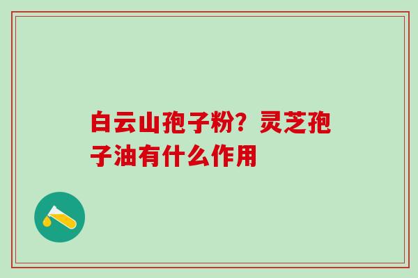 白云山孢子粉？灵芝孢子油有什么作用