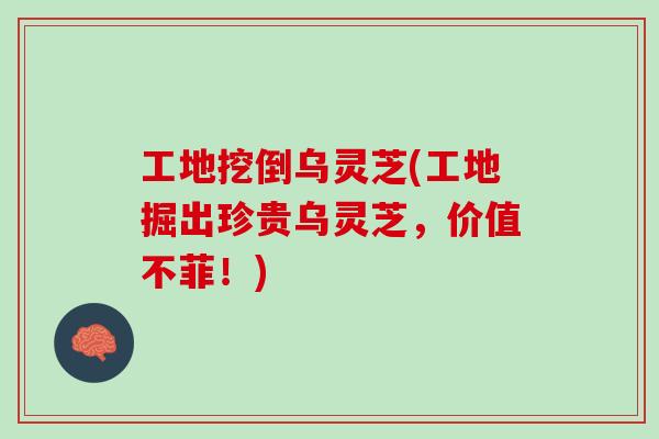 工地挖倒乌灵芝(工地掘出珍贵乌灵芝，价值不菲！)