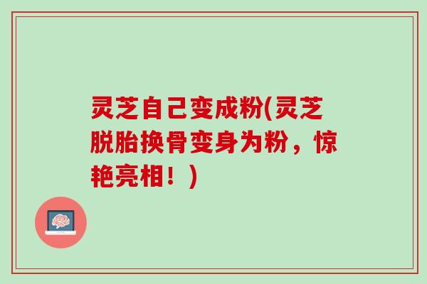 灵芝自己变成粉(灵芝脱胎换骨变身为粉，惊艳亮相！)