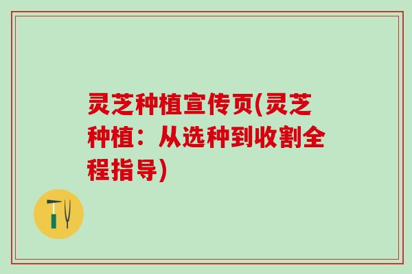 灵芝种植宣传页(灵芝种植：从选种到收割全程指导)