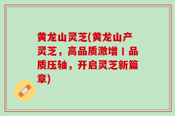 黄龙山灵芝(黄龙山产灵芝，高品质激增丨品质压轴，开启灵芝新篇章)