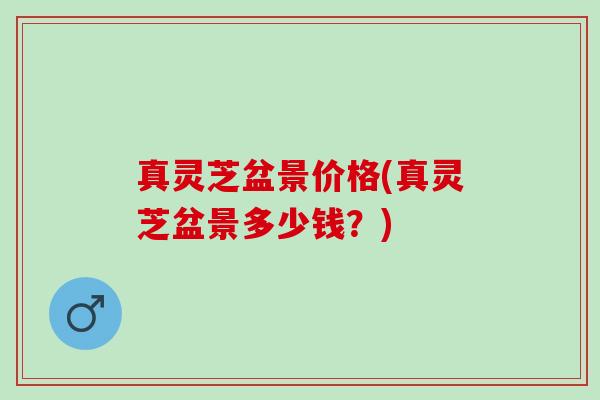 真灵芝盆景价格(真灵芝盆景多少钱？)